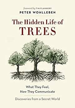 The Hidden Life of Trees - Strange Encounters